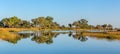 Typical African river landscape, Bwabwata, Namibia Royalty Free Stock Photo