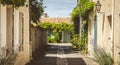 Typical alley in the center of Noirmoutier