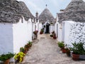 Typical alley of the village of Alberobello with traditional trulli houses, Apulia region, southern Italy