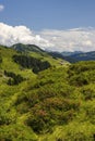 Typical alpine landscape in early summer near Damuls, Vorarlberg, Austria Royalty Free Stock Photo