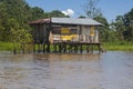 Typical Amazon Home (Amazonia) on stilts standing in water Royalty Free Stock Photo