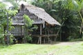 Typical Amazon Home (Amazonia). Hut built from logs and palm frondss Royalty Free Stock Photo