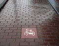 A typical Amsterdam bicycle lane
