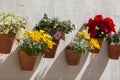 Typical Andalusian decoration with flowers and white walls