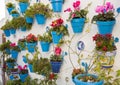 Typical Andalusian decoration with flowers and white walls