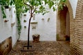 Typical Andalusian patio architecture Royalty Free Stock Photo