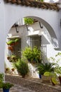 Typical andalusian patio in Granada, Spain Royalty Free Stock Photo