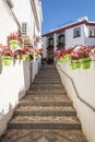 Typical Andalusian street adorned with pots and flowers in Estepona, Costa del Sol, Spain Royalty Free Stock Photo