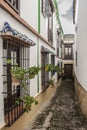 Typical Andalusian street II