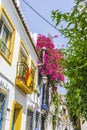 typical Andalusian streets and balconies with flowers in Marbella Andalucia Spain Royalty Free Stock Photo
