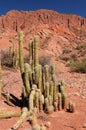 Typical Andean landscape in Bolivia near Tupiza Royalty Free Stock Photo