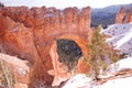 The Hoodoos, Bryce Canyon, Utah, USA Royalty Free Stock Photo