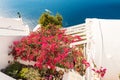 Typical architecture of houses on the island of Santorini in Greece in the Cyclades Royalty Free Stock Photo