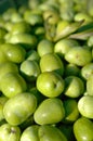 Typical Ascolana variety olives in central Italy