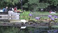 Typical asian garden with lake and flowers