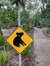 A typical Australian yellow road sign warning for koalas crossing, with a sign warning for kangaroos in the background Royalty Free Stock Photo