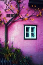 Typical Austrian Alpine houses. Tree in autumn against pink wal