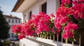 typical austrian house, beautiful balconies with typical blooming pelargoniums. Blooming flowers on an Austrian house in Tyrol