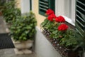 A typical austrian window with green louvered shuters and square paned windows with flowers in hanging flower pots