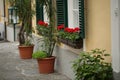 A typical austrian window with green louvered shuters and square paned windows with flowers in hanging flower pots