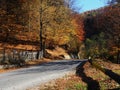 Autumn colours in Romania Royalty Free Stock Photo