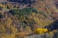 Typical autumn foliage on the Emilian Apennines in the Frignano park, near Lake Santo, Italy