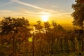 A typical autumn golden coloured sunrise seen from one of the hills outside Maastricht with a view over the valley of the river Me Royalty Free Stock Photo