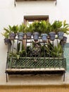 Typical balcony of Granada-Andalusia-Spain