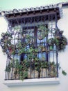 Ronda-Typical balcony-Andalusia