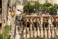 Typical Balcony - Taormina Town Sicily Italy