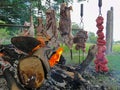 Typical barbecue from the south of Brazil