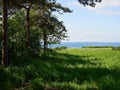 Typical beautiful Danish coastline landscape in the summer Royalty Free Stock Photo