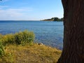 Typical beautiful Danish coastline landscape in the summer