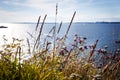 Typical beautiful sea view on Suomennlinna island of Finland