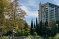 Typical beautiful Sochi landscape. Majestic American Sycamore Trees, cypresses and the modern building of the Mercure Hotel.