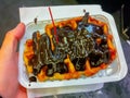 Typical Belgian chocolate waffle from the French gaufre.