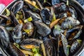 Typical Belgian dish of mussels Royalty Free Stock Photo