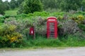 A typical British telephone booth in the middle of the wilderness