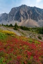 Ptarmigan Cirque Trail, Kananaskis, Alberta, Canada Royalty Free Stock Photo