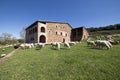 Typical catalan farm in Catalonia