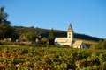 Typical Church And Vineyard Of Burgundy At Fixin Burgundy France Royalty Free Stock Photo