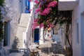 Typical coblestone street with bougainvillea in the Cyclades Royalty Free Stock Photo