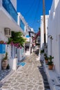 Typical coblestone street with bougainvillea in the Cyclades Royalty Free Stock Photo