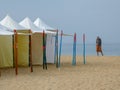 typical colorful huts on the Portuguese beach of NazarÃÂ©