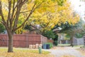 Typical concrete back alley with blanket of fallen leaves at suburban house near Dallas, Texas, USA