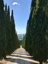 Typical country road in Tuscany lined with cypress trees Royalty Free Stock Photo