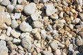 Typical Croatian pebbled beach , Croatia
