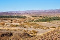 Typical desert landscape in southern morocco, few green bushes and palms growing near drought river, mountains at Royalty Free Stock Photo