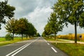 A typical Dutch autumn landscape with rural road along the corn fields and trees in the Netherlands Royalty Free Stock Photo