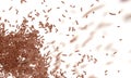 Typical dutch chocolate sprinkles falling hagelslag